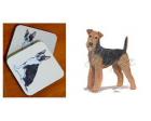 Airedale Terrier - Coasters