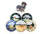 Dachshund Earthenware Charger (Wirehair)