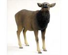 Elk Cow Figurine