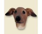 Italian Greyhound Doogie Head