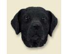 Labrador Retriever Doogie Head, Black