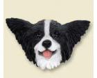Papillon Doogie Head, Black and White