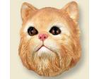 Persian Cat Doogie Head, Red