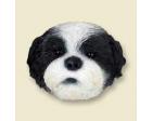 Shih Tzu Doogie Head, Black and White Puppycut