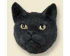 Tabby Cat Doogie Head, Black