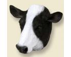 Cow Doogie Head, Holstein