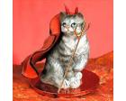 Tabby Cat (Silver) Tiny One Devil