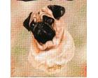 Pug Lap Square Throw Blanket (Woven)