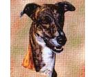 Greyhound Lap Square Throw Blanket (Woven)
