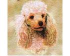 Poodle Lap Square Throw Blanket (Woven)