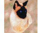 Siamese Cat Lap Square Throw Blanket (Woven)