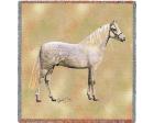 Welsh Pony Lap Square Throw Blanket (Woven) Horse