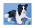 Border Collie Plush Stuffed Dog (Chase) 16 Inches by Douglas