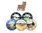 Norwich Terrier Earthenware Charger