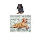 Cavalier King Charles Glass Cutting Board (Black and Tan)