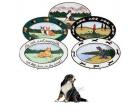 Bernese Mountain Dog Oval Platter