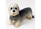 Dandie Dinmont Terrier