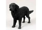 Flat-Coated Retriever