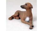 Italian Greyhound