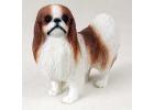 Japanese Chin