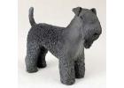 Kerry Blue Terrier