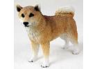 Shiba Inu