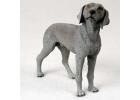 Weimaraner