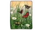 Butterflies and Insects Butterflies and Insects