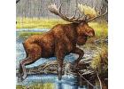 Moose