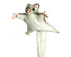 Sugar Glider Plush Stuffed Animal 9 Inches by Hansa