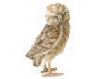 Owl Burrowing Plush Stuffed Bird 11 Inches by Hansa