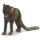 Jaguarundi (Jaguarondi) Plush Stuffed 19 Inches Long by Hansa