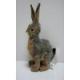 Jack Rabbit (Blacktail) Plush Stuffed Animal 9 Inches by Hansa