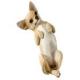 Chihuahua Tan Figurine Sculpture Original Size by Sandicast