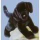 Labrador Retriever Black Plush (Chester) 16 Inches by Douglas