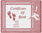 New Born Baby Girl Pink Blanket "Certificate of Birth"