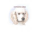 Poodle Art Portrait by Cindy Farmer Poodle Art Portrait by Cindy Farmer