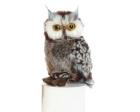 Owl, Grey Plush Stuffed Bird Gray (Barney) 9 Inches Aurora World