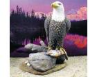 Eagle On Rock W/fish Figurine