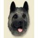 Akita Doogie Head, Gray