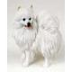 American Eskimo Figurine (Miniature)