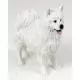 American Eskimo Figurine