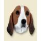 American Foxhound Doogie Head