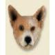 Australian Cattle Dog Doogie Head, Brown