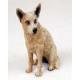 Australian Cattle Dog Figurine, Brown