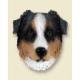 Australian Shepherd Doogie Head, Blue