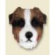 Australian Shepherd Doogie Head, Red