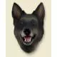 Belgian Tervuren Doogie Head