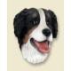 Bernese Mountain Dog Doogie Head