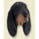 Black and Tan Coonhound Doogie Head